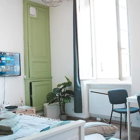 Le Cocon Bressan Hyper Centre & Lumineux Apartment