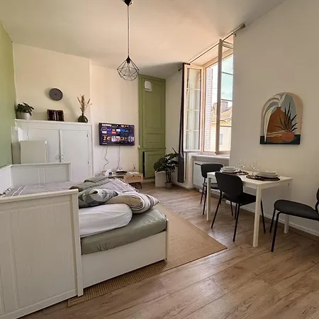 Apartment Le Cocon Bressan Hyper Centre & Lumineux Bourg-en-Bresse